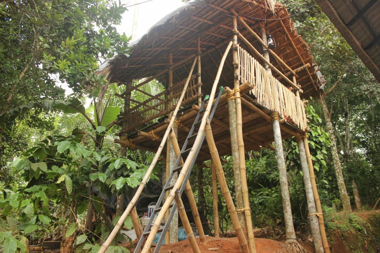 Wayanad Days Βίλα Mananthavady Εξωτερικό φωτογραφία