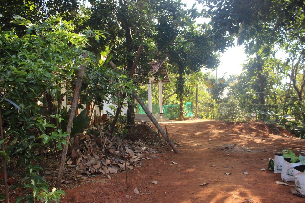 Wayanad Days Βίλα Mananthavady Εξωτερικό φωτογραφία